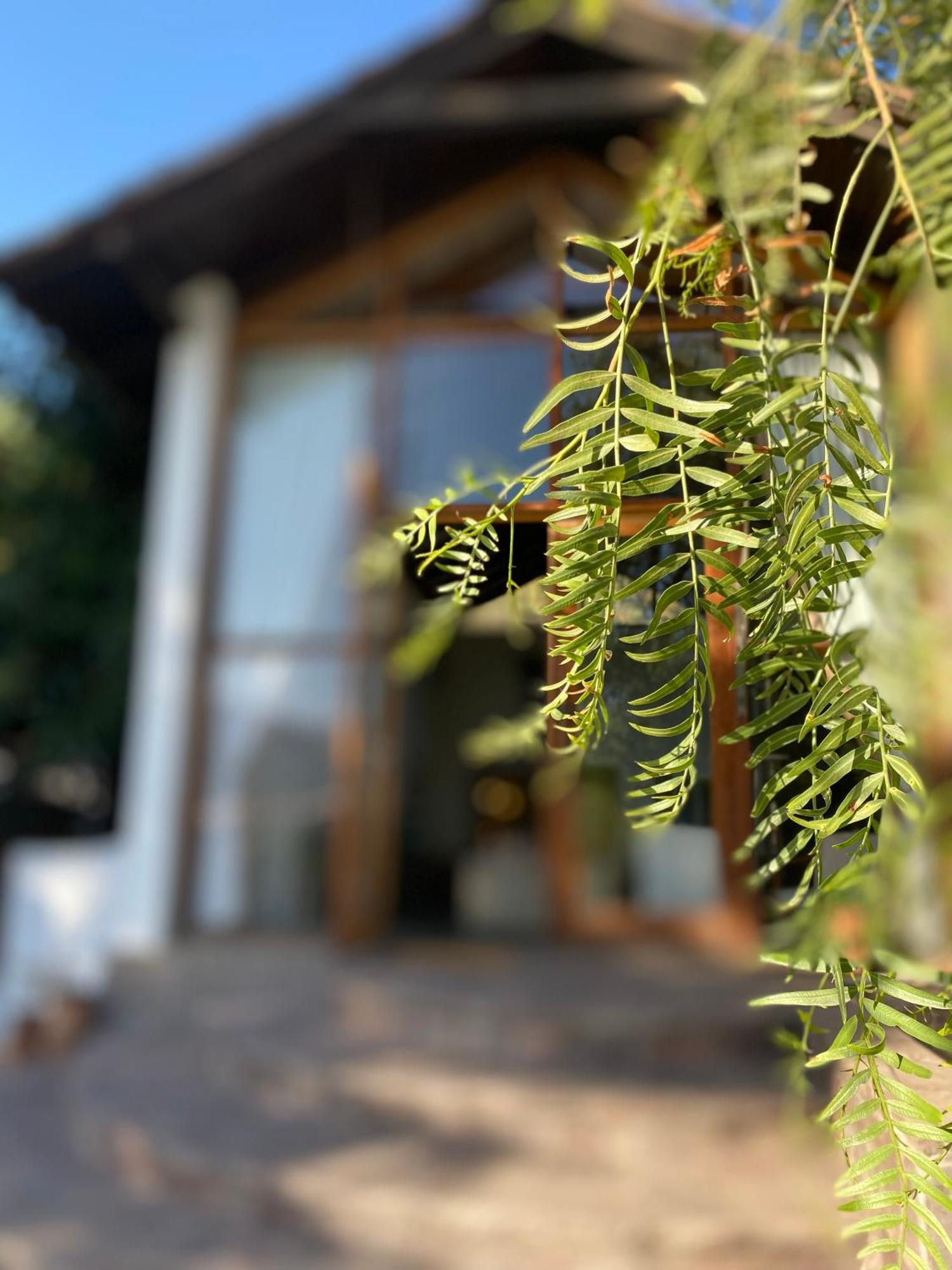 Casa Arrayan Ξενοδοχείο Σαντιάγκο Εξωτερικό φωτογραφία